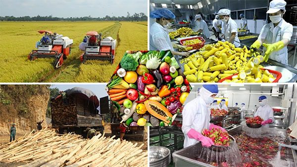 Vietnam agriculture products