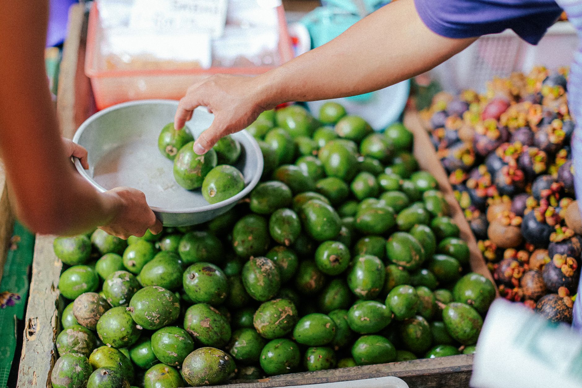 Sourcing Premium Vietnam Mangoes: Navigating Customs, Phytosanitary, and Trade Compliance - Vietnamese Agricultural Export Quality