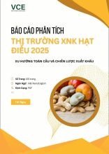 bao cao nganh dieu